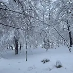 Aria * Bosanska Krupa